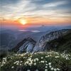 gardenofgift